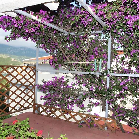 Appartement Sandra Budva